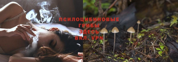 крисы Алексин