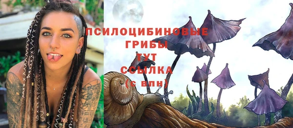 PSILOCYBIN Алзамай