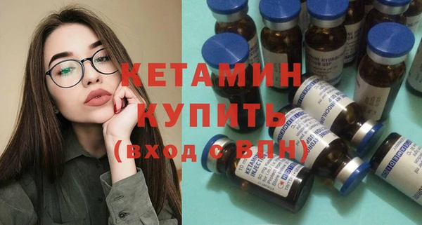 крисы Алексин
