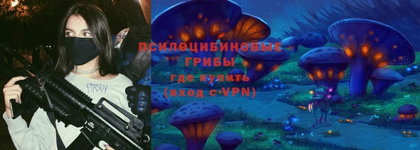 крисы Алексин